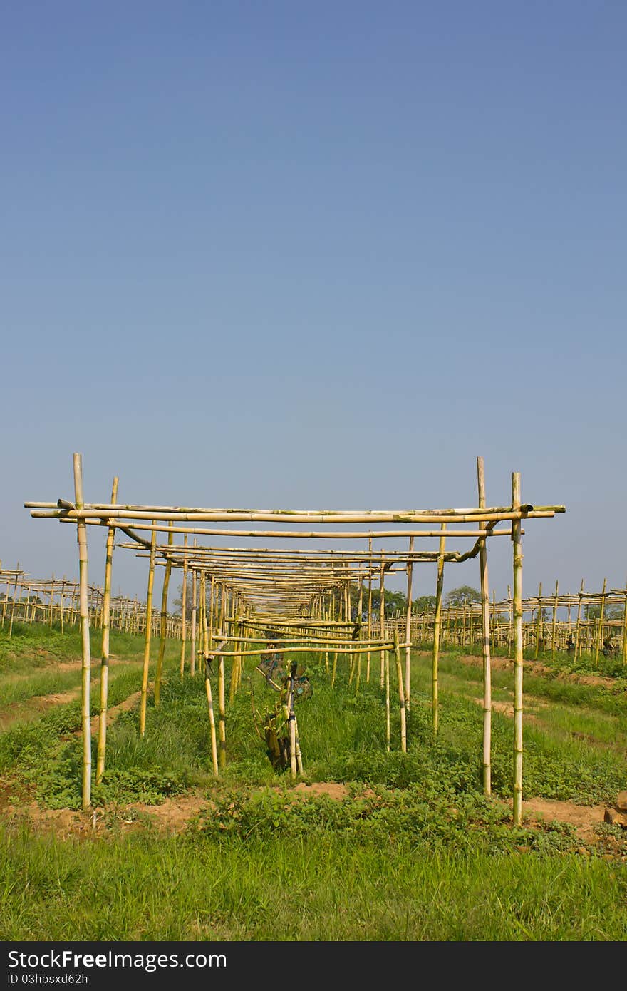 The bricknogging in farm