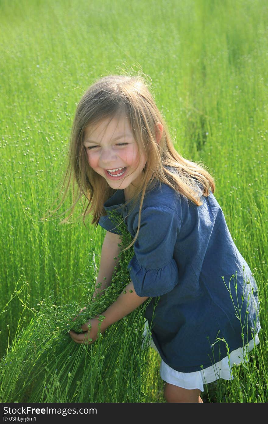 Young girl standing on field of flax. Young girl standing on field of flax