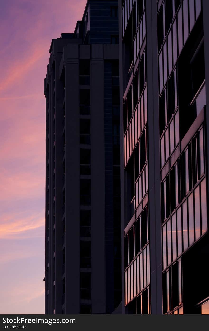 Purple Reflections