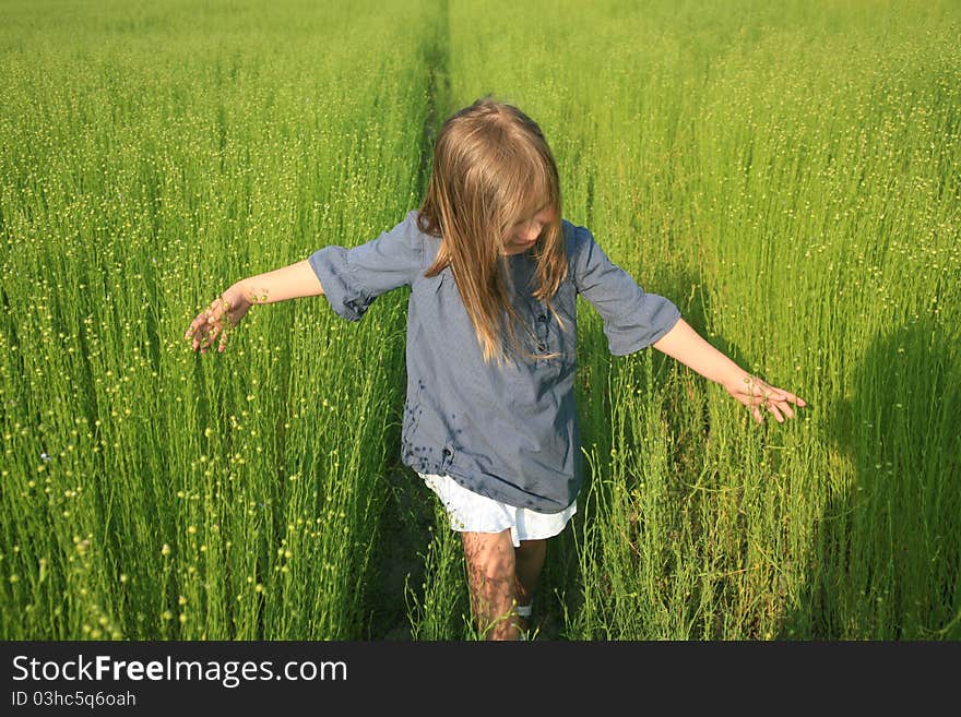 Young girl walking on field of flax. Young girl walking on field of flax