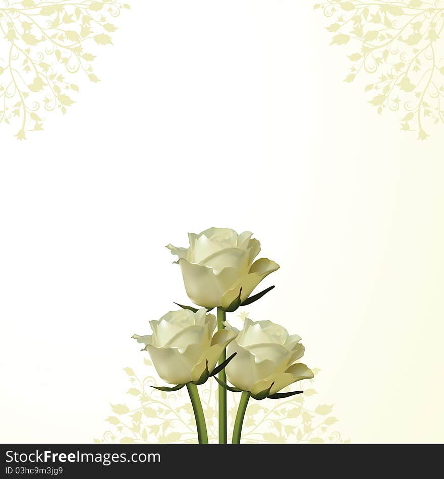 Ivory roses and flourishes on a cream background. Ivory roses and flourishes on a cream background