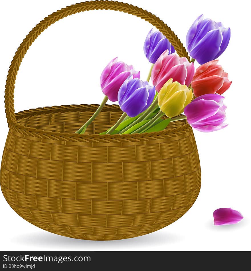 Tulips In A Wicker Basket