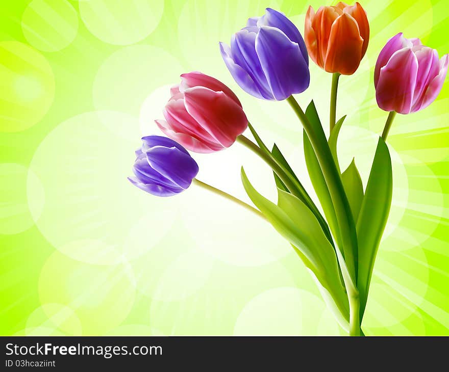 Red, purple and pink tulips on a glowing green background. Red, purple and pink tulips on a glowing green background