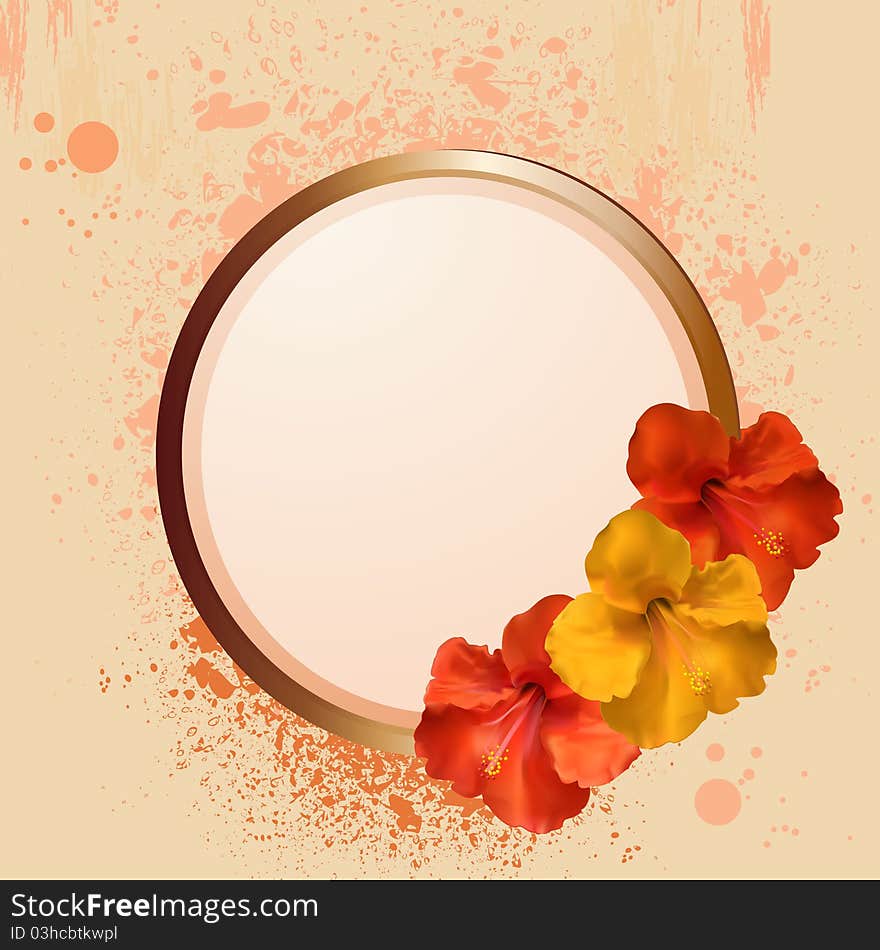 Hibiscus flowers and border with grunge background