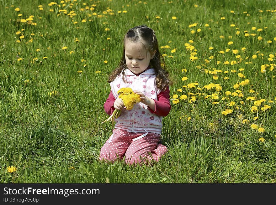 Little Girl Collect Flowers