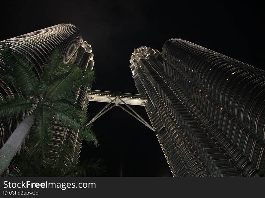 Petronas towers at night with a plam. Petronas towers at night with a plam