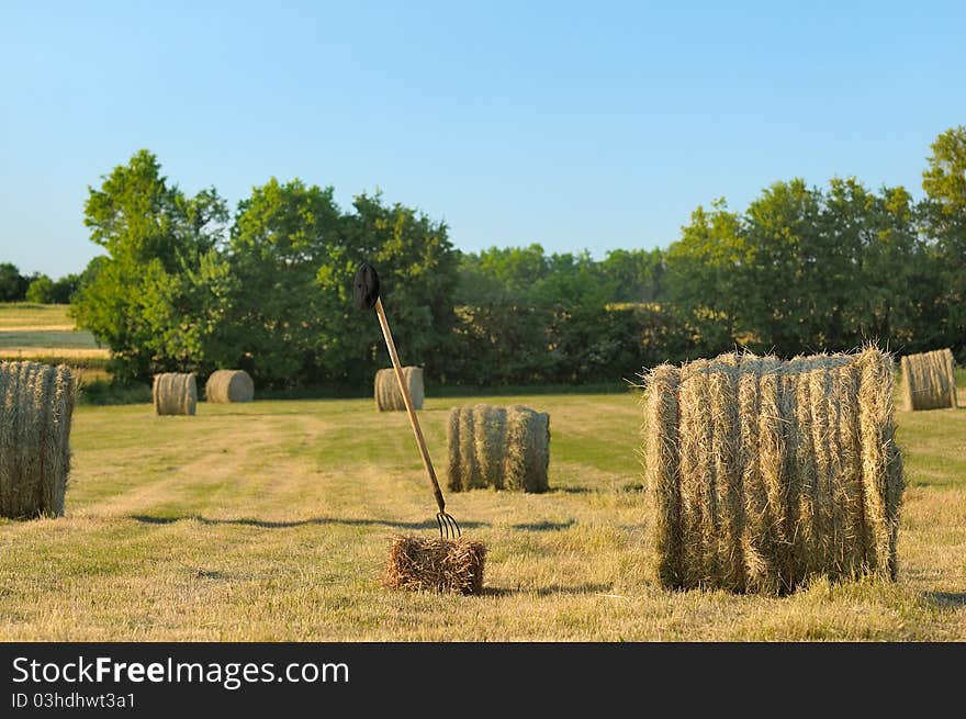 Harvesting hay on a summer evening