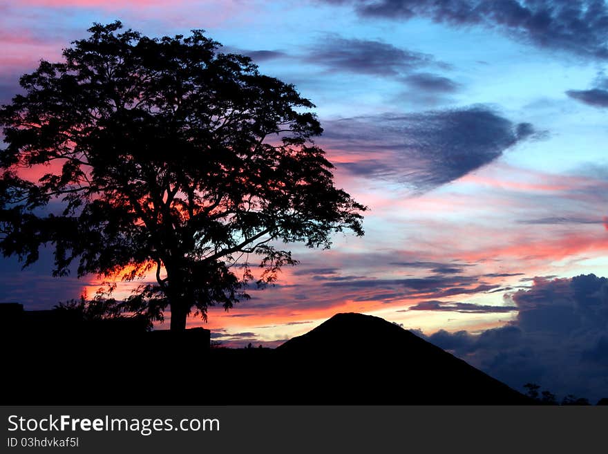 Silhouetted tree and mountain against a beautiful & colorful morning. Silhouetted tree and mountain against a beautiful & colorful morning