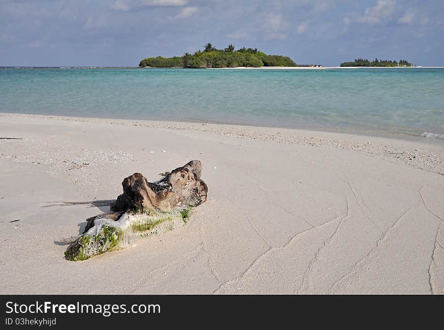 A beautiful beach in the maldives. A beautiful beach in the maldives