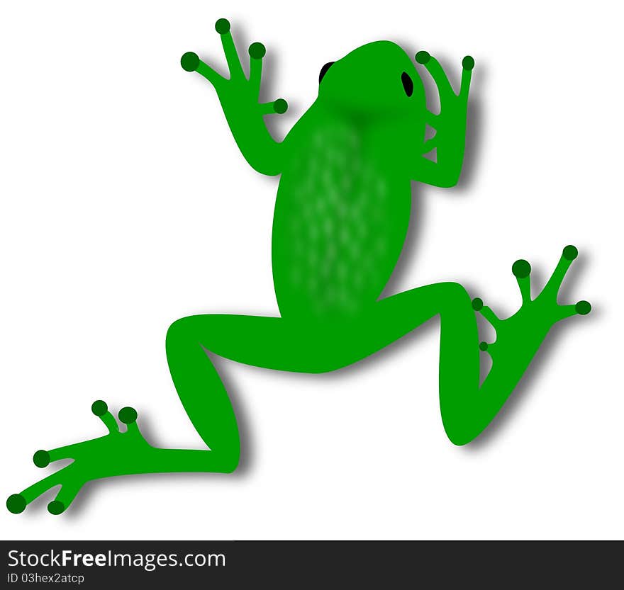 Frog