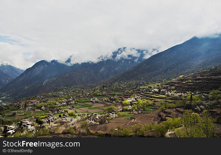 The spring color of the Tibetan villages