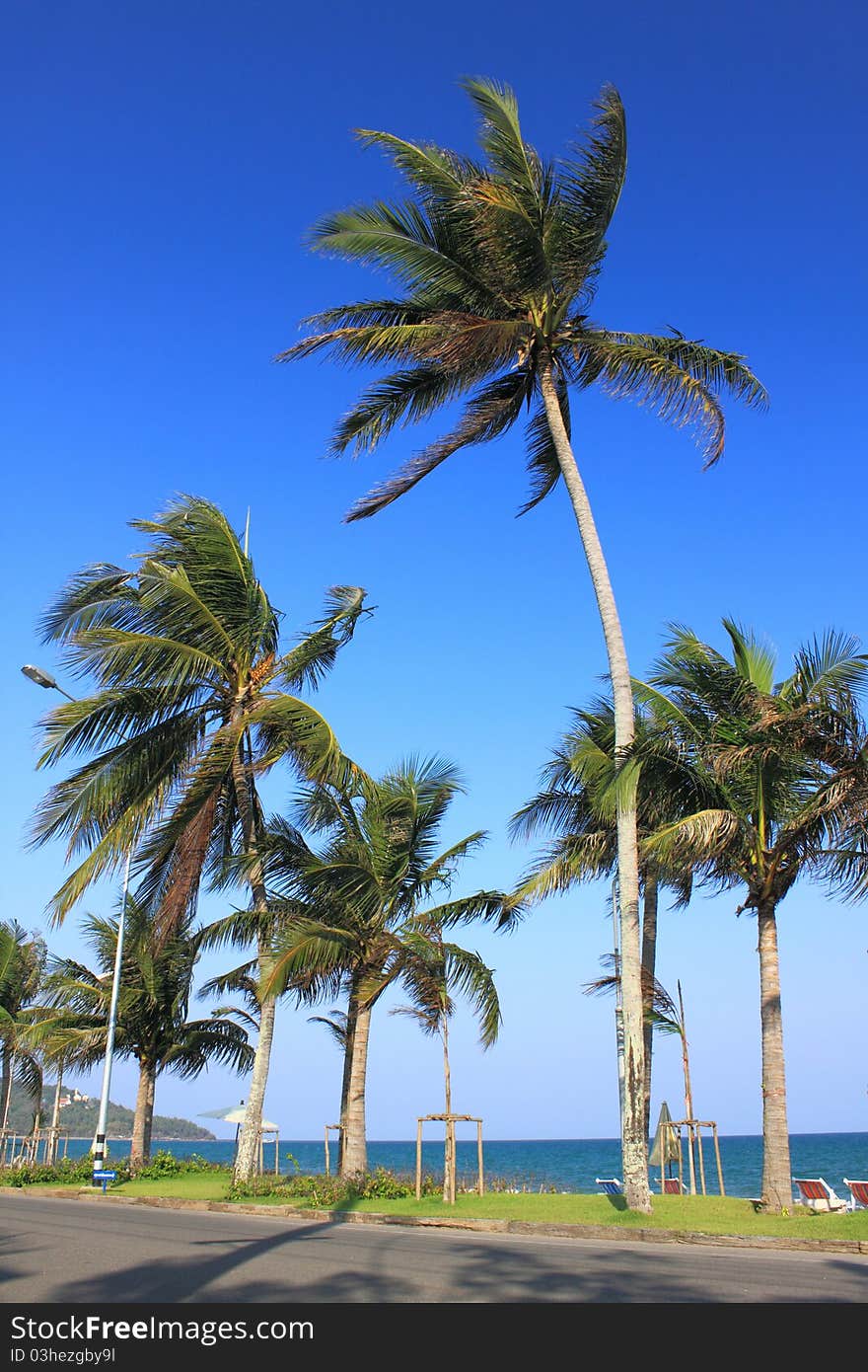 Coconut Beach