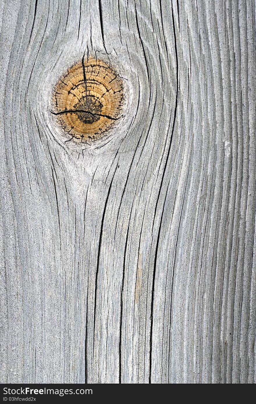 Close-up of an old silver oak plank