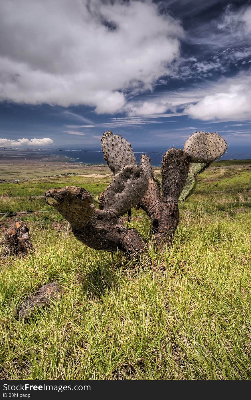 Lava valley on Big Island, Hawaii. Lava valley on Big Island, Hawaii