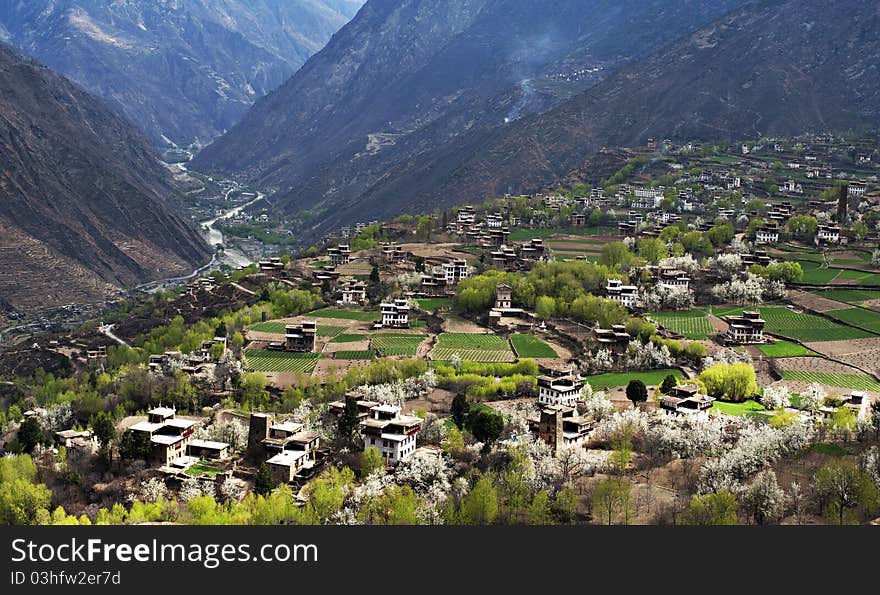 The spring color of the Tibetan villages