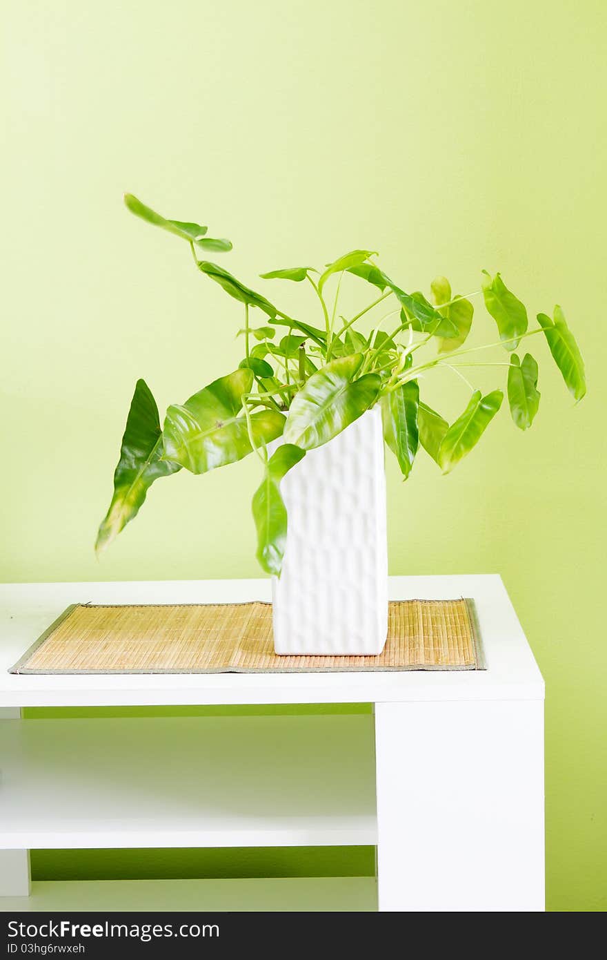 Ornamental vase white in green room