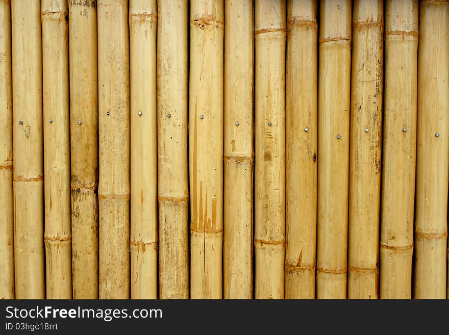 Close-up bamboo background texture with columns