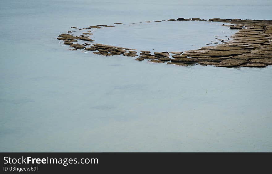 Gastropod fossil in Andaman sea, Thailand, Krabi province