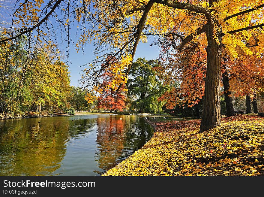 A quiet place in autumn. A quiet place in autumn