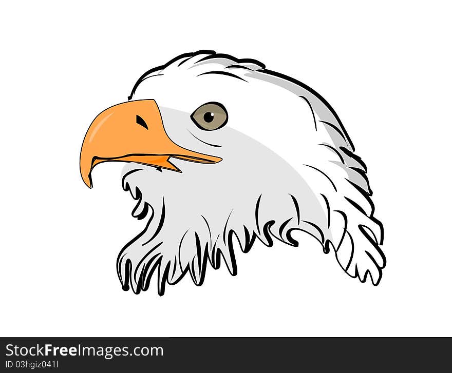 Illustration of head eagle on white. Illustration of head eagle on white