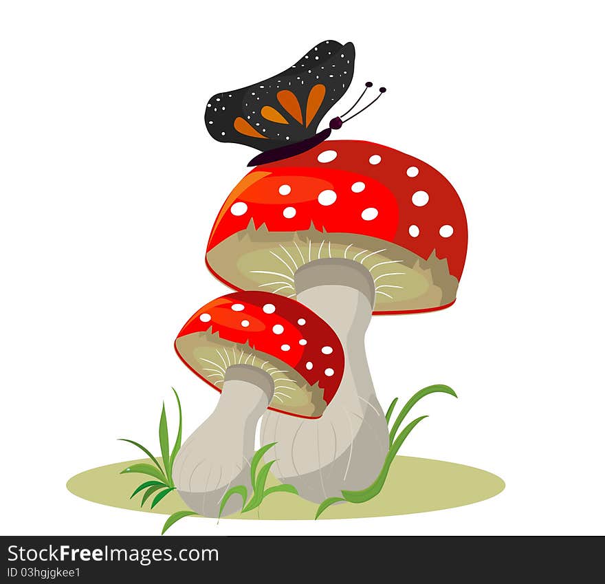 Mushrooms with butterfly on white