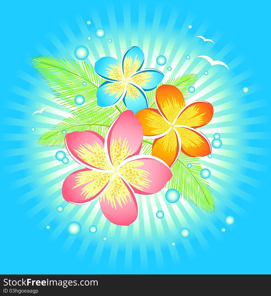 Vector illustration of Frangipani flower on blue beach background