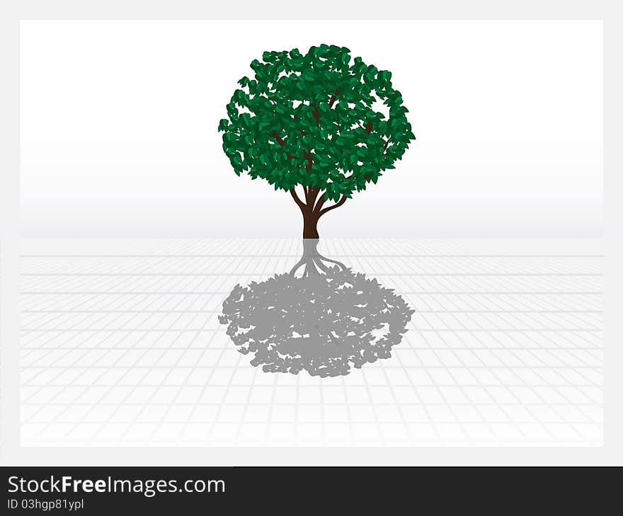 Vector abstract green tree and shadow.  White area. Vector abstract green tree and shadow.  White area