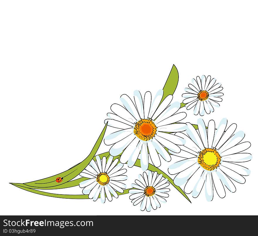 Chamomile design and ladybug on leaves