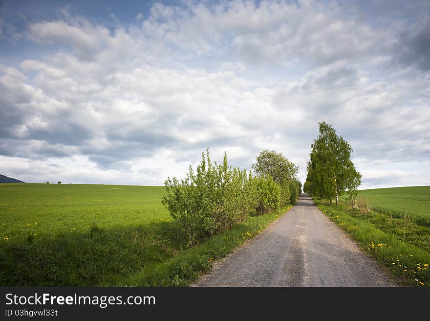 Field Road And Sky