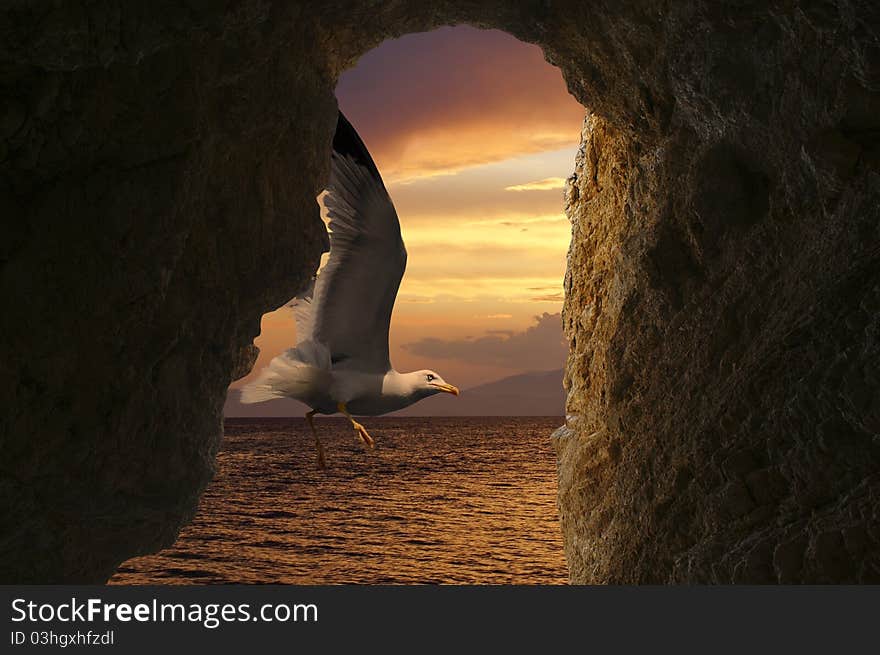 Seagull at sunset on a tropical beach through a cave, Greece