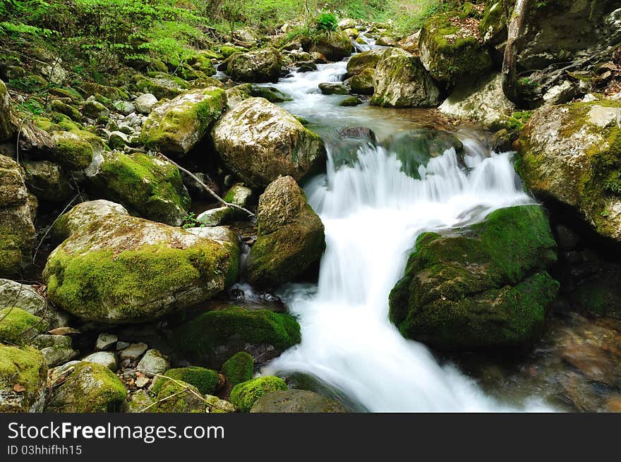 Wild stream between stones in green forest landscape. Wild stream between stones in green forest landscape