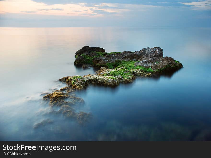 Rocks in the sea of green algae at sunset