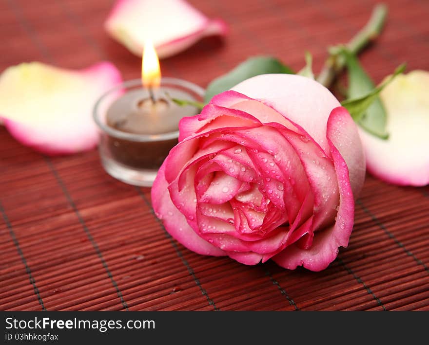 Pink rose and burning candle. Pink rose and burning candle