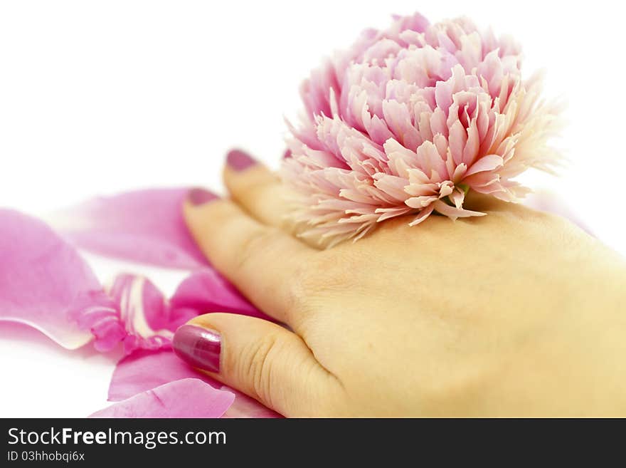 Hand with flower