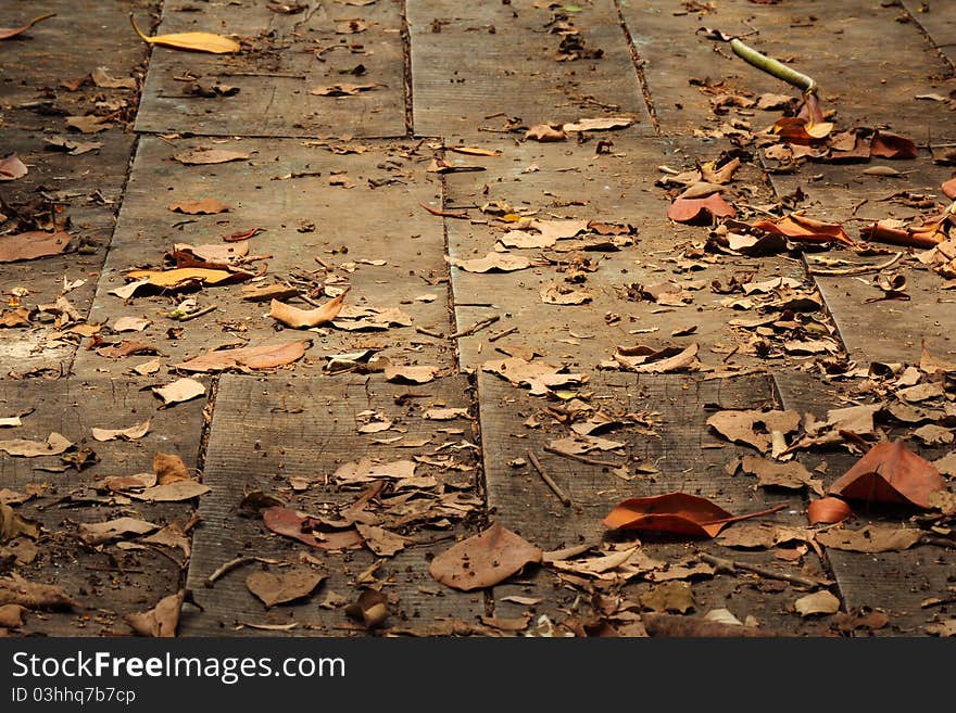 Old wooden path bridge with dry leaves. Old wooden path bridge with dry leaves