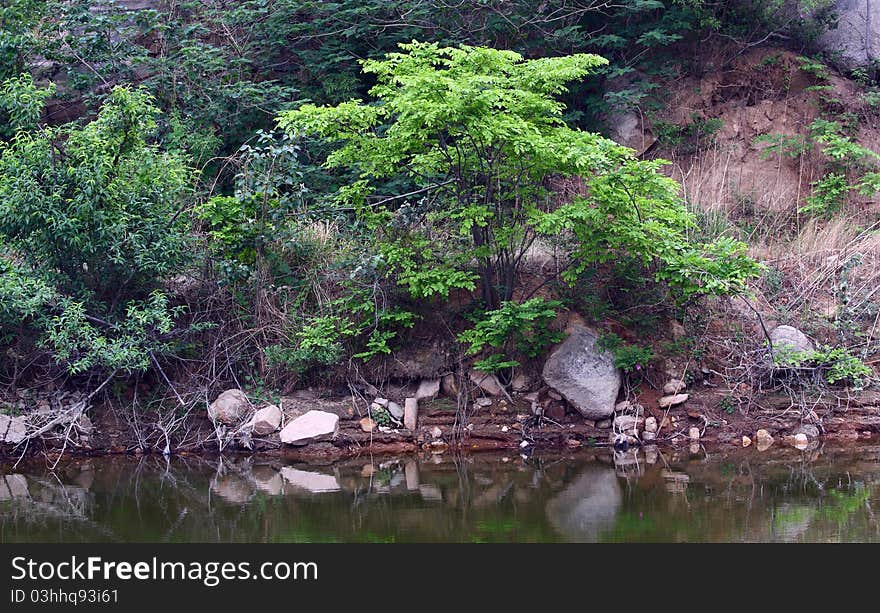 The pond in summer in valley.