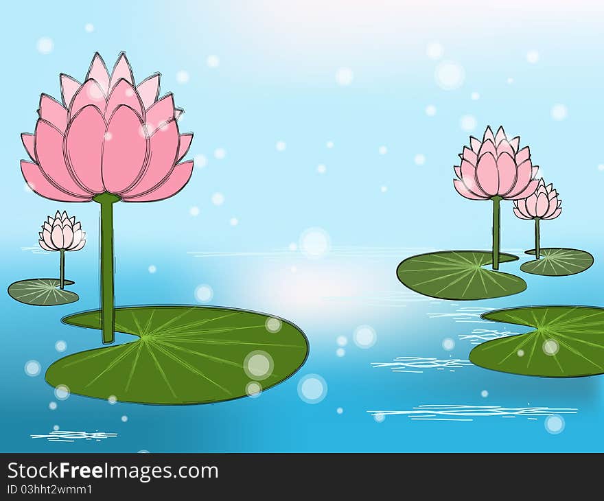 Lotus flowers on the water