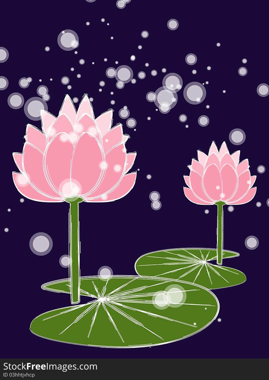 Lotus In The Night