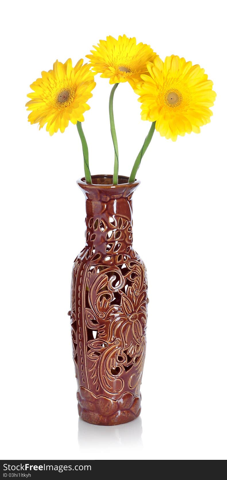 Gerbera in vase