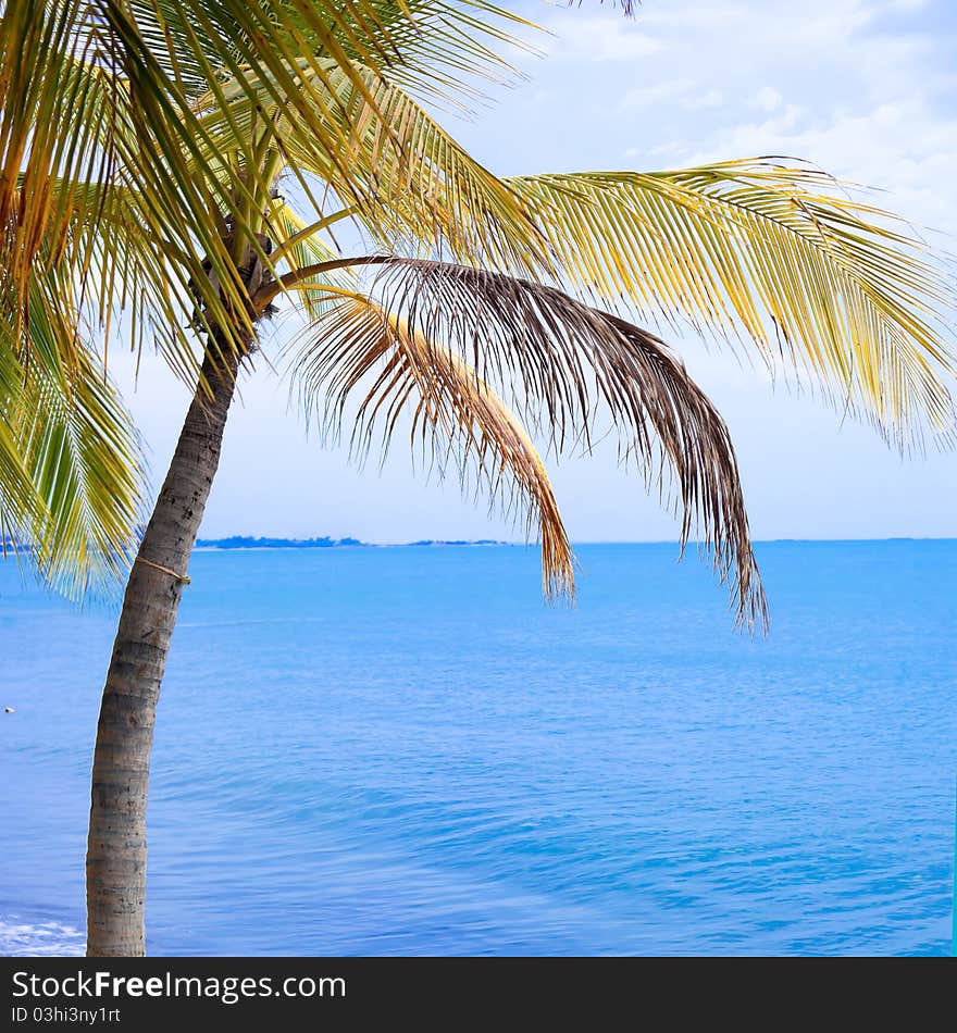 Beach and beautiful blue sky. Beach and beautiful blue sky