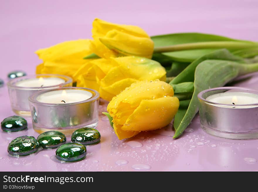 Tulips And Candles