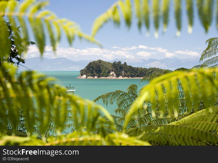 Abel Tasman National Park, New Zealand. Abel Tasman National Park, New Zealand