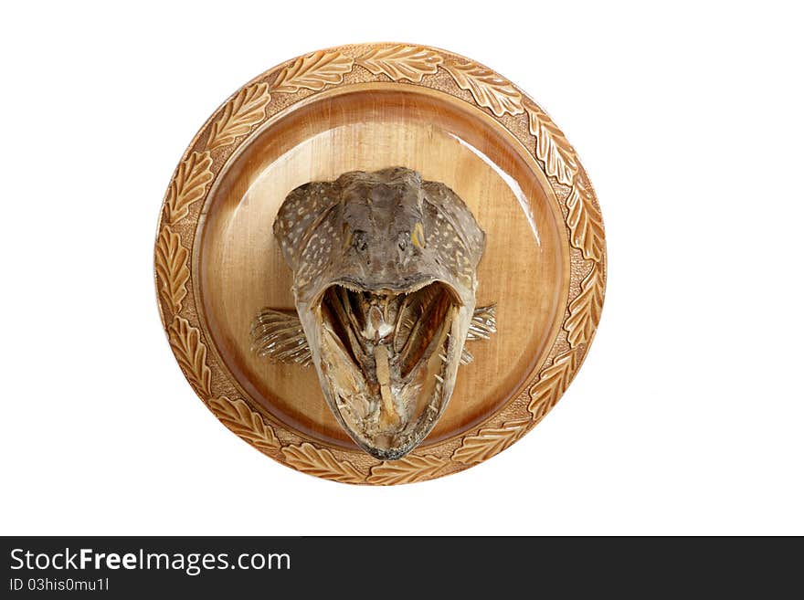 Dried pike head on a round wooden board