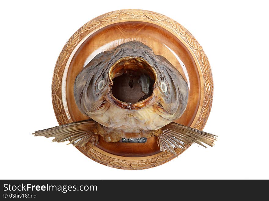 Dried head of a silver carp on a round wooden board