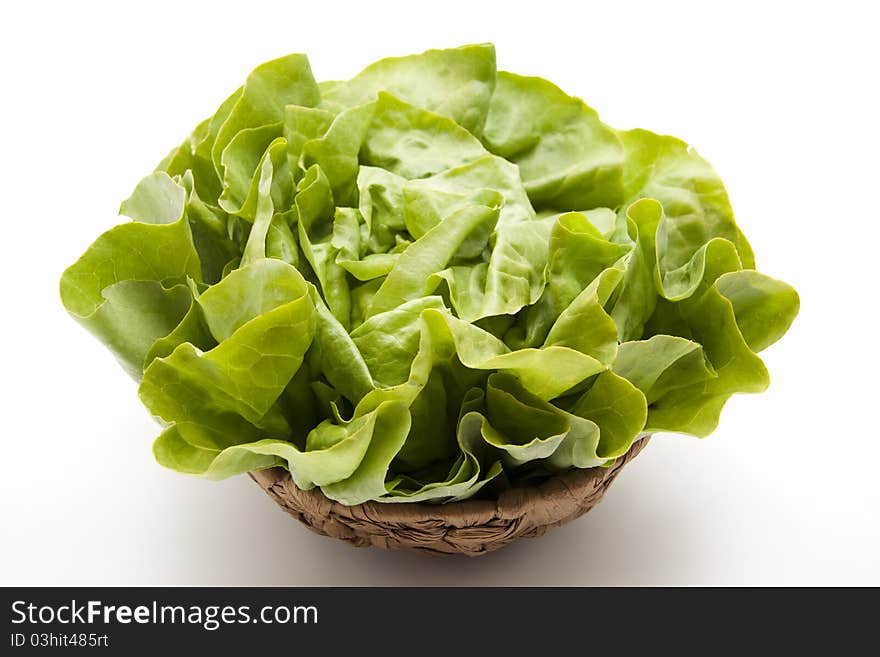 Head lettuce