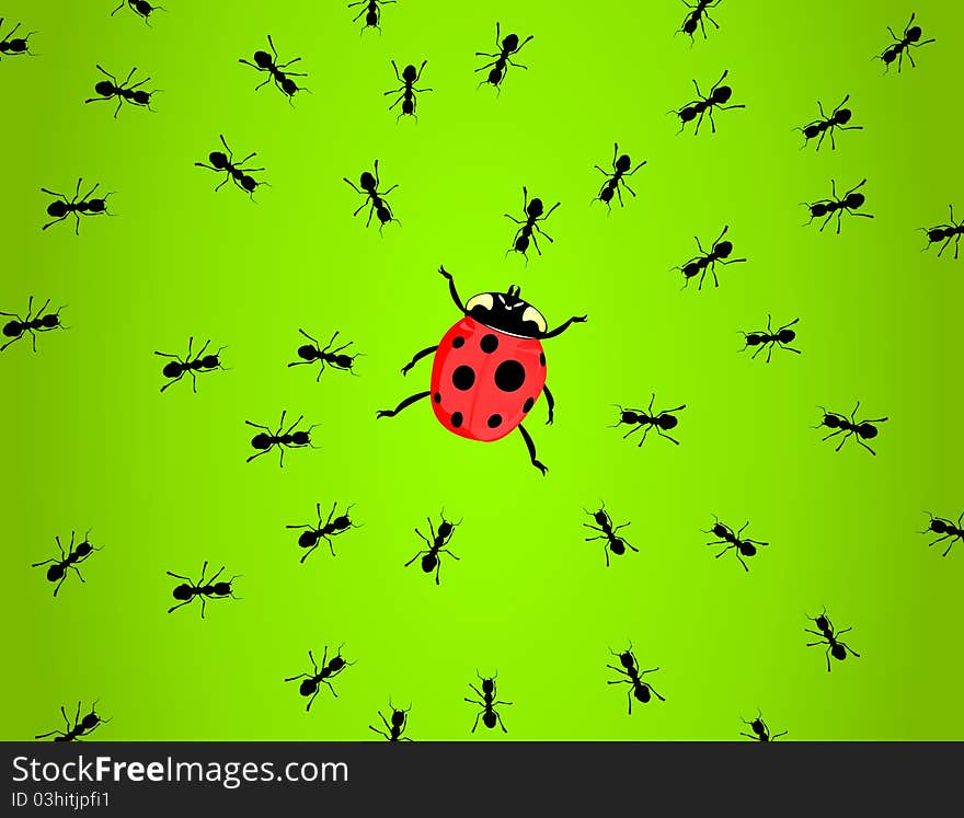 Ants hunt on a ladybird. A  illustration. Ants hunt on a ladybird. A  illustration