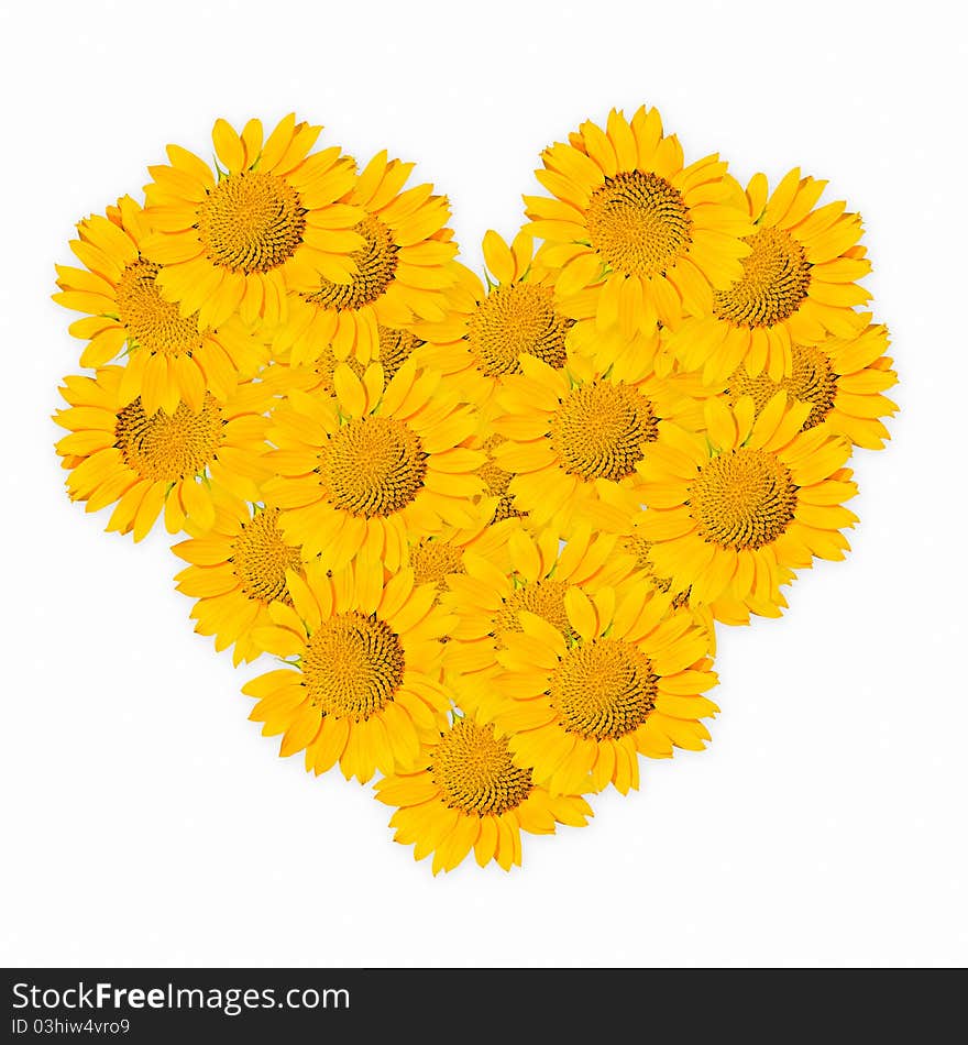 Many yellow sunflower heads make up hearth with isolated center. Many yellow sunflower heads make up hearth with isolated center