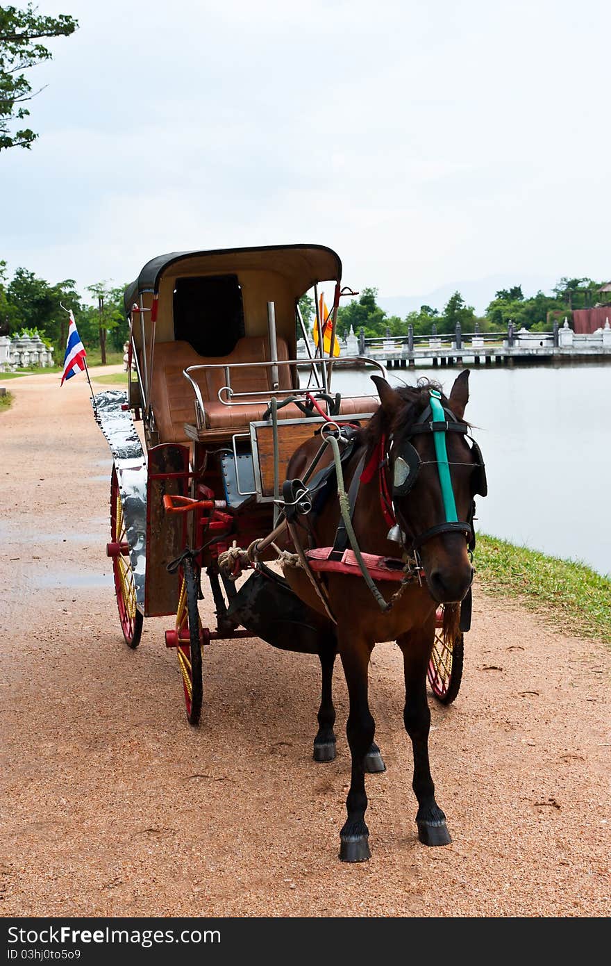 Horse And Carriage