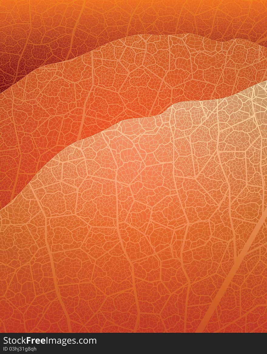 Vector background with leafs fragment. eps10 format