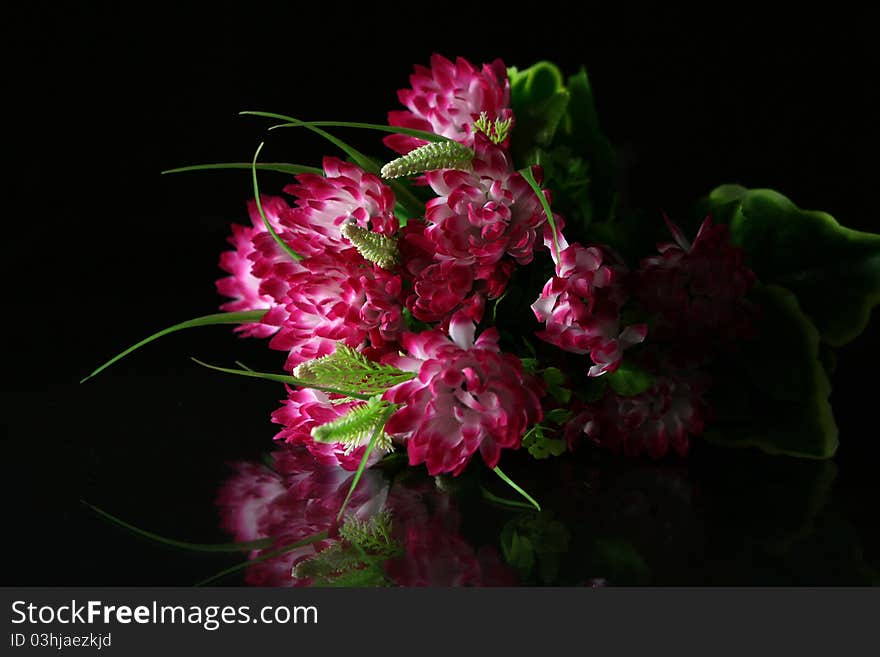 Reflected shadow of red and white flower on mirror. Reflected shadow of red and white flower on mirror.